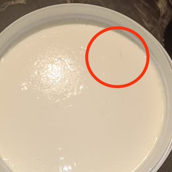 Dost Yoğurtta Hijyen Sorunu Ve Yabancı Maddeler!