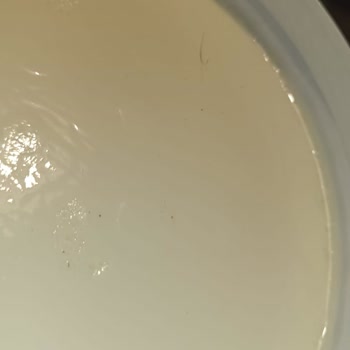 Dost Yoğurtta Hijyen Sorunu Ve Yabancı Maddeler!