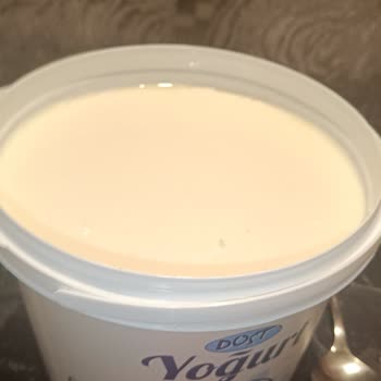 Dost Yoğurtta Hijyen Sorunu Ve Yabancı Maddeler!