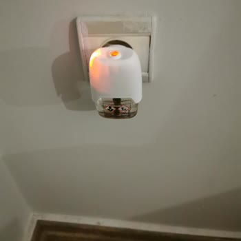 Raid Likit Sineksavar Artık Sinekleri Uzaklaştıramıyor, Mağduriyet Yaşıyorum