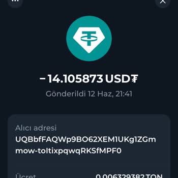 USDT Transferim Bitlo Hesabıma Ulaşmadı