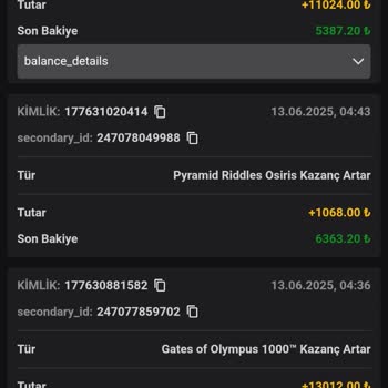 Vaycasino Kazandığım Bakiyenin Hesabıma Aktarılmaması