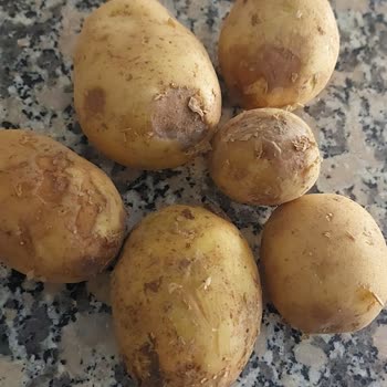 Migros Edremit'ten Sürekli Bozuk Sebze Ve Patates Gelmesi