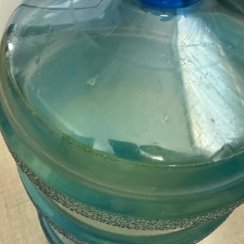 Karacakaya Su Damacanasında Yeşil Renk Ve İlgisizlik