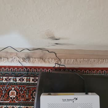 Yıldırım Nedeniyle Yanan Modemimin Ücretsiz Değişimini İstiyorum