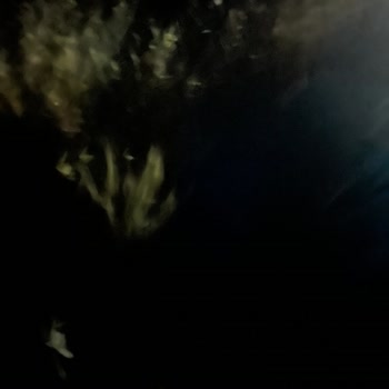 Gece Yarısı Tarlada Bırakıldım Otobüs Firması Yolcunun Güvenliğini Hiçe Saydı