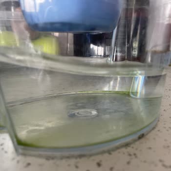 Brita Sürahisinde Tekrarlayan Yosunlanma Problemi