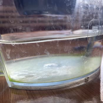 Brita Sürahisinde Tekrarlayan Yosunlanma Problemi