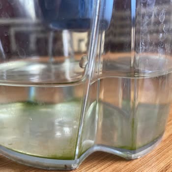 Brita Sürahisinde Tekrarlayan Yosunlanma Problemi