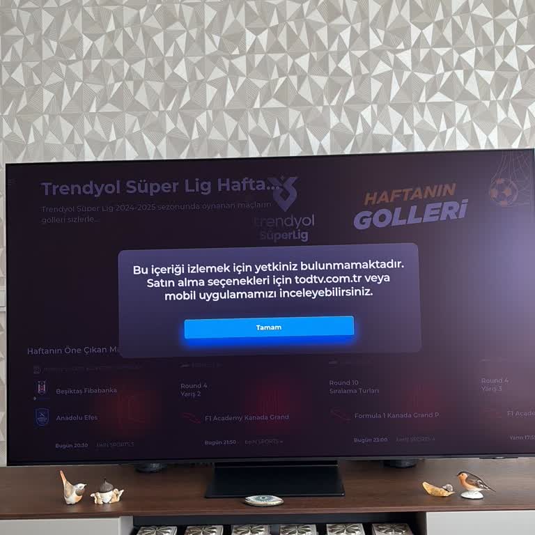 Tod TV'de Basketbol Maçlarına Erişim Sorunu Ve Yetersiz Müşteri Hizmeti