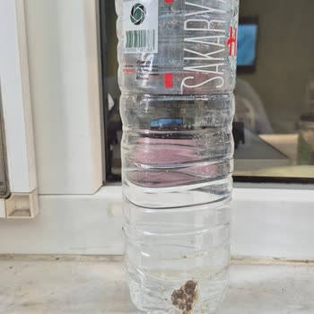 Amazon Siparişimde Gelen İçeceklerin Şişeleri Kuş Pisliğiyle Kaplıydı