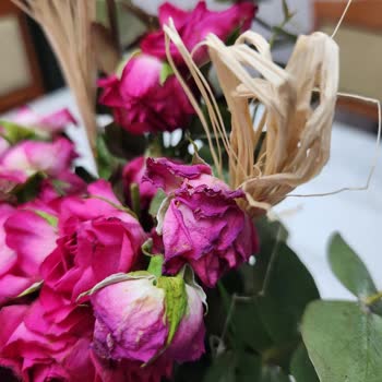 Sürpriz Bozulan Ve Ezik Çiçeklerle Hayal Kırıklığı