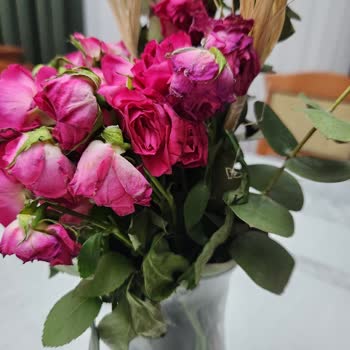 Sürpriz Bozulan Ve Ezik Çiçeklerle Hayal Kırıklığı