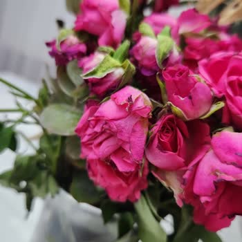 Sürpriz Bozulan Ve Ezik Çiçeklerle Hayal Kırıklığı