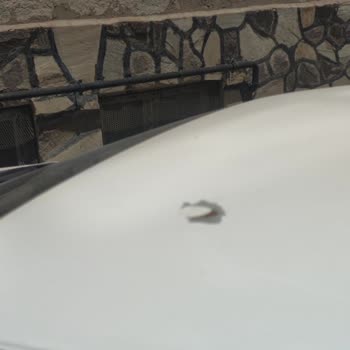 Honda Civic'te Büyük Ölçüde Boya Atması Ve Kalitesiz İşçilik Şikayeti