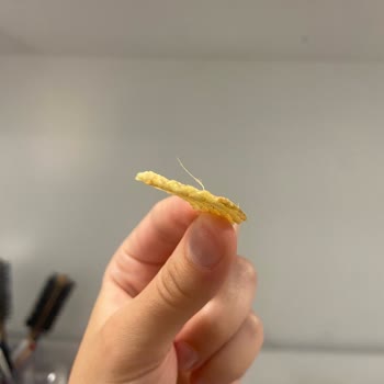 Cips Paketinden Saç Çıktı Hijyen Sıfır