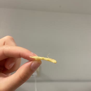 Cips Paketinden Saç Çıktı Hijyen Sıfır