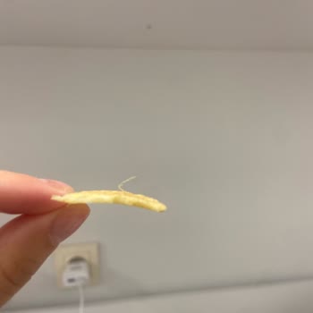 Cips Paketinden Saç Çıktı Hijyen Sıfır