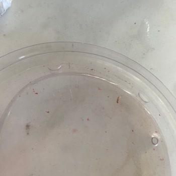 İçecekte Kurt Şoku Ve İlgisiz Yaklaşım!