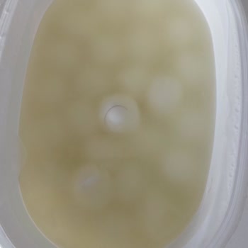 Paketli Üründe Kıl Çıkması Ve Hijyen Sorunu