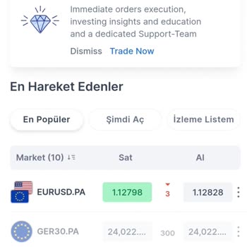 Silver Invest Platformla Kayıplarım Arttı, Vaatler Yerine Getirilmedi!