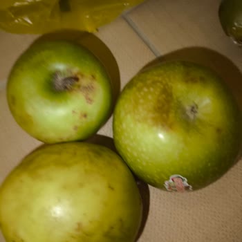 Siparişimde Gönderilen Ürünlerin Tazeliği Ve Müşteri Hizmetleri Sorunu