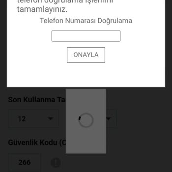 Destek Taleplerime Cevap Alamıyor, Hesabımdaki Para Görünmüyor