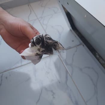 Garanti Süresi Dolmadan Küf Sorunu Ve İletişimsizlik