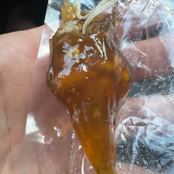 A101'den Aldığım Çerezya Sucukta Saç Teli Şoku