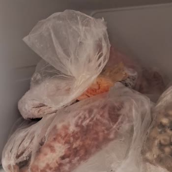 Buzdolabı Arızası Nedeniyle Anne Sütlerimin Ziyan Olması Ve Yetersiz Servis Desteği
