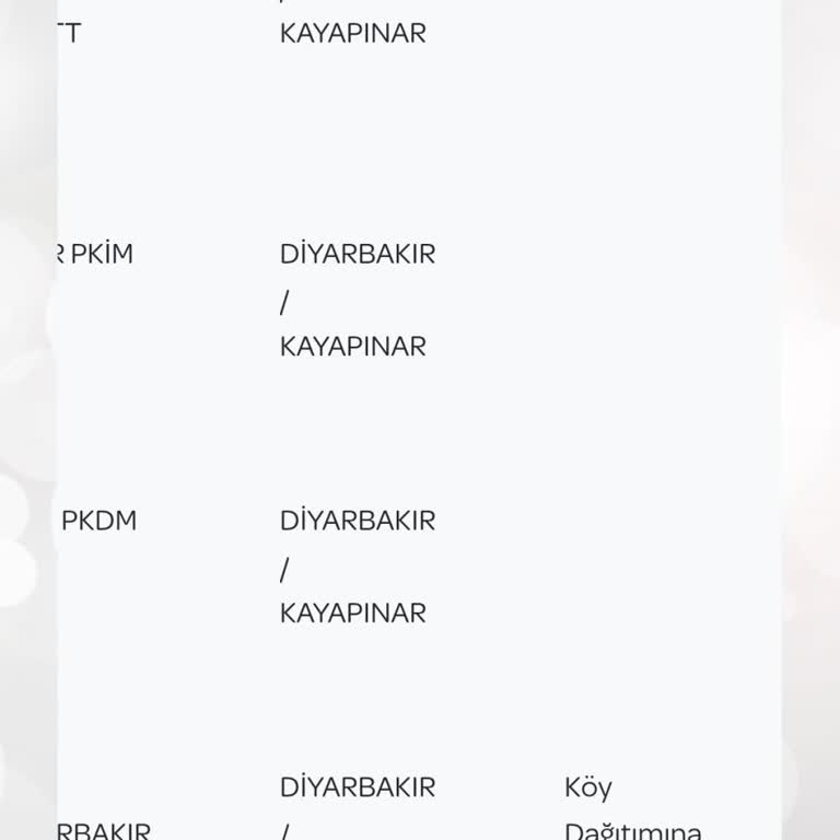 Merkezde Olmama Rağmen Kargo Köy Dağıtımında Bekletiliyor