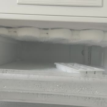 SEG Derin Dondurucuda Kapı Hatası Ve Aşırı Buzlanma Sorunu