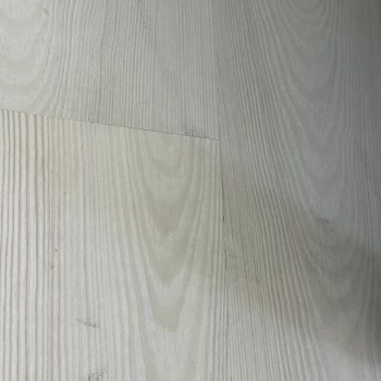 Yeni Alınan Parkede Kalıcı Lekeler Ve Temizlik Sorunu