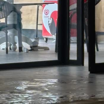 Beklentileri Karşılamayan Hizmet Ve Hijyen Sorunları