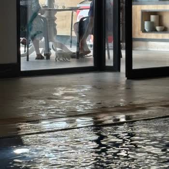 Beklentileri Karşılamayan Hizmet Ve Hijyen Sorunları