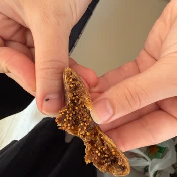 Aldığım Kuru İncirden Böcek Çıkmasıyla Yaşadığım Hayal Kırıklığı