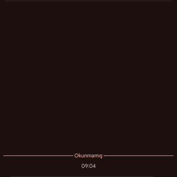 Gökbey Turizm'de Rötar, Saygısızlık Ve Güvenlik Sorunu