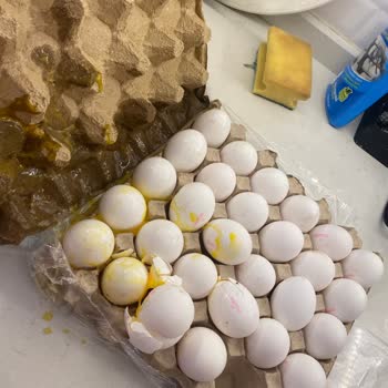 Kırık Yumurtalar İçin Destek Alamadım, Müşteri Hizmetleri Yetersiz Kaldı