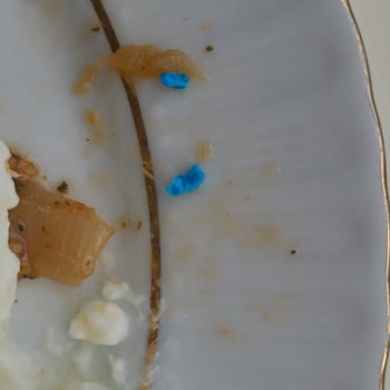 Migros Hazır Köftede Plastik Parçası: Gıda Güvenliği İhlali Ve Sağlık Riski