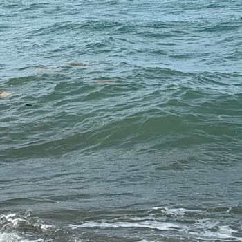 Tekirdağ Büyükşehir Belediyesi Kumbağ Plajı Şikayeti