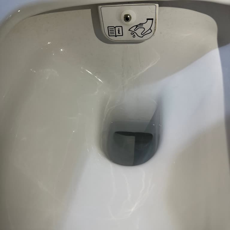 Vitra Sento Rim-Ex Klozette Renk Değişikliği Ve Yetersiz Servis İlgisi