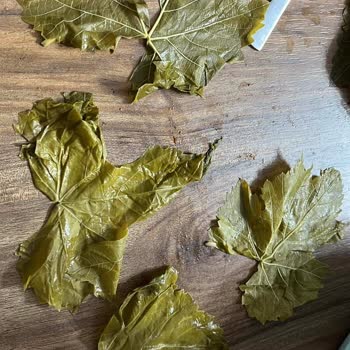 Aldığım Yapraklar Beklentimi Karşılamadı, İade Talebime Dönülmedi