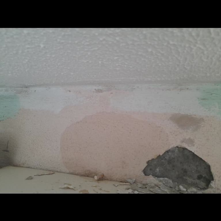 TOKİ Yönetimi Çatının Su Akıntısına Çözüm Bulmuyor Hak Aramak İmkansızlaşıyor