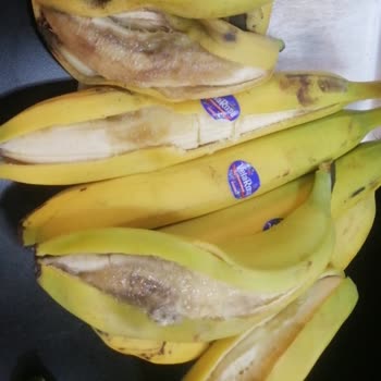 Aldığım Muzların Kalitesi Ve İade Sürecinde Yaşadıklarım
