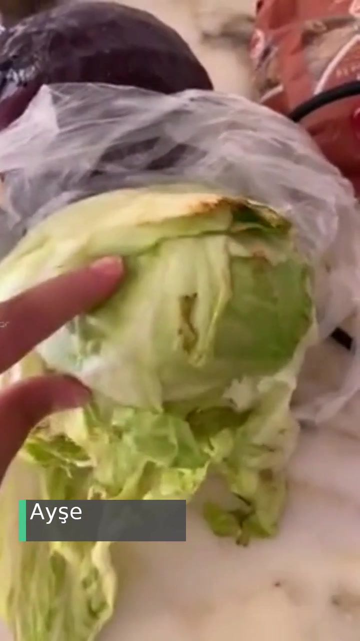 Trendyol Hızlı Market Aracılığıyla Snowy Alışverişinin Kalitesizliği videonun kapak resmi