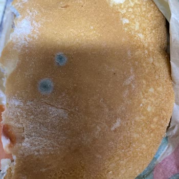 Küflü Ürün Ve Yetersiz Müşteri Hizmeti Deneyimi