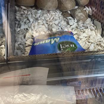 ŞOK Markette Hijyen Riski Oluşturan Ekmek Ve Mantı Yerleşimi