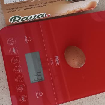 Raya Yumurta'da M Boy Yerine S Boy Yumurtalarla Karşılaştım