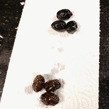 Kuru Sele Zeytinde İki Farklı Renk Ve Tat Şaşkınlığı