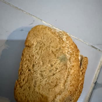 Aldığım Ekmekteki Sorun Ailemi Riske Attı